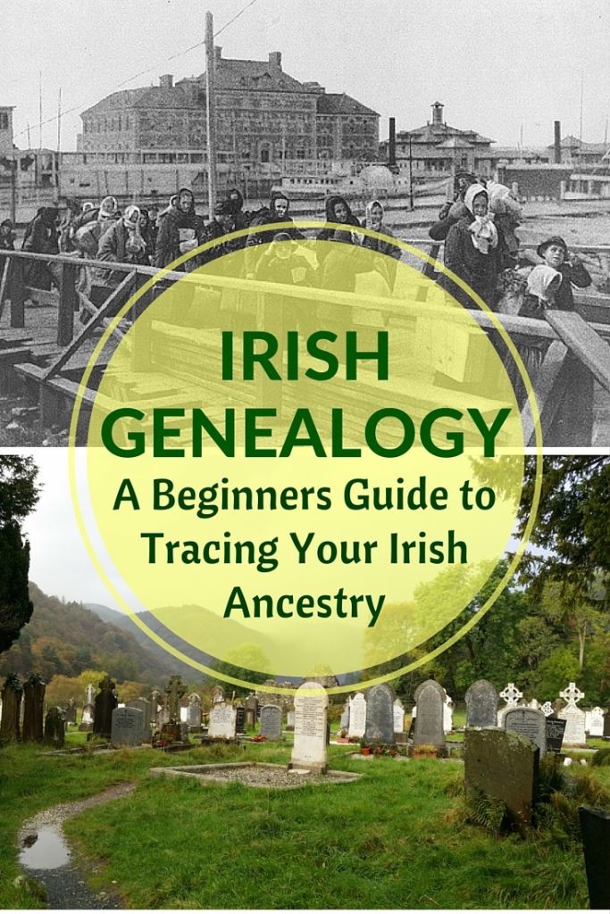 Irish Genealogy A Beginners Guide RELOCATING TO IRELAND