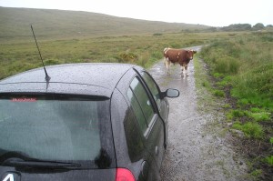 What to expect when #driving around #Ireland. #Travel