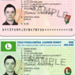 Driver Licensing in Ireland