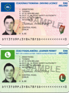 Driving licence online application form