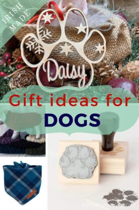 Gift Ideas for Your Dog #giftguide #dog