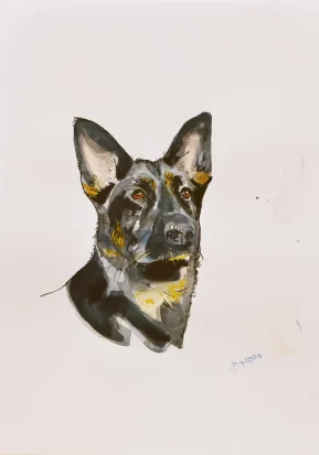 Dog portrait