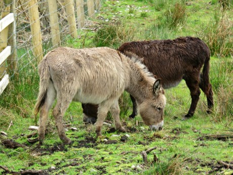 Discover #Ireland in Two Weeks - A Detailed Self Drive Itinerary