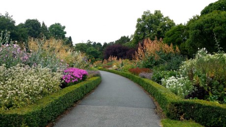 National Botanic Gardens, Ireland. Visit these seven beautiful Dublin gardens.