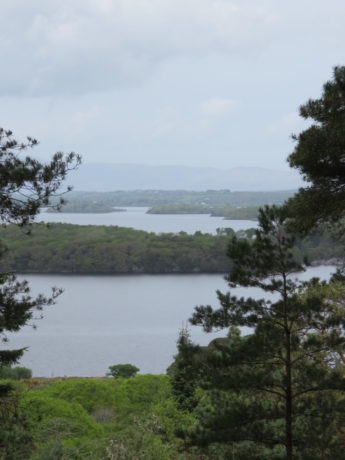 Lake views. Exploring the Stunning Killarney National Park Ireland