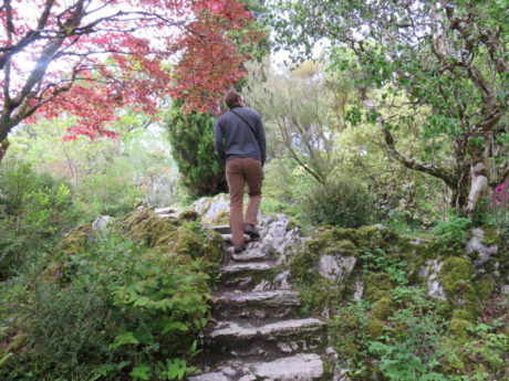 Muckross Gardens. Exploring the Stunning Killarney National Park Ireland