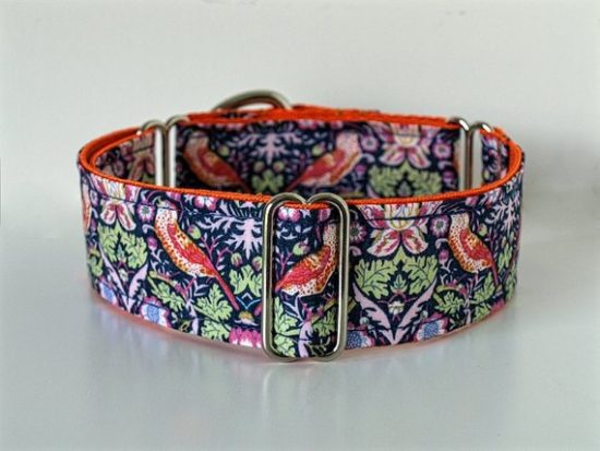 Martingale dog collar. Gift Ideas for Your Dog #giftguide #dog