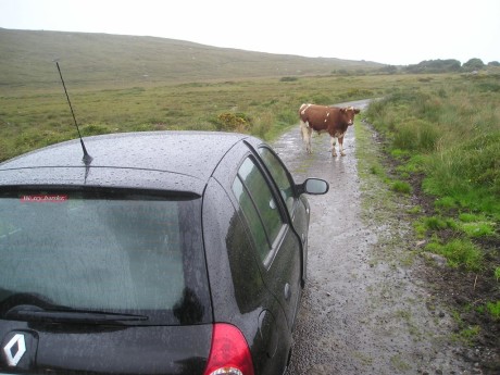The guide to budget #travel in #Ireland